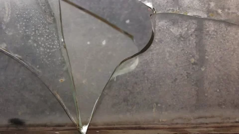 House fly on the window frame of the Barn. to close. Stock Footage 189413195