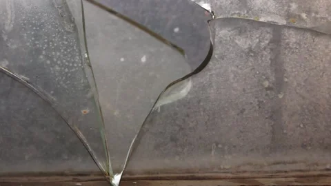 House fly on the window frame of the Barn. to close. Stock Footage 189413237