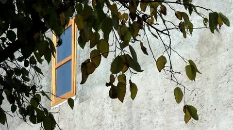 House Stock-Footage 10599622