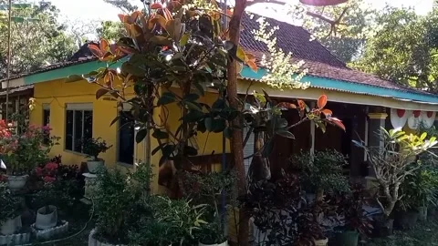 House Stock Footage 205351315