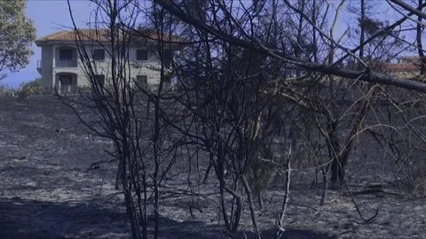 A HOUSE IN A FOREST AFTER FOREST FIRE Stock Footage 209138460