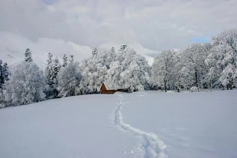 A house in the forest against the backdrop of deep snow Foto stock