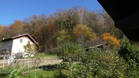 House by Forest in Autumn Stock Footage 320609434