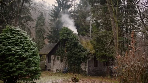 House in the forest Stock Footage 71085441