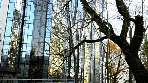 House In Forest Stock Footage 83976984