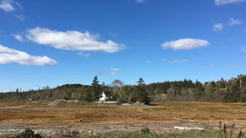 House in the Forest Stock Footage 89789230