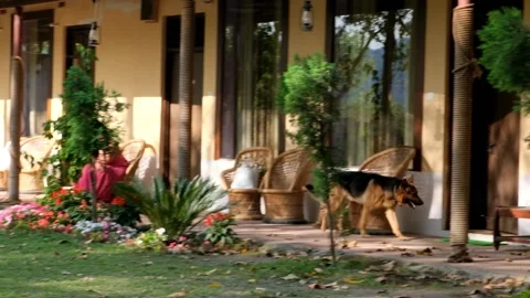 House in the forest Stock Footage 238925101