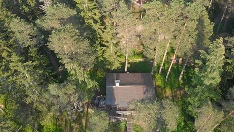 House in a forest overhead, drone is taking off rapidly Stock Footage 110839510