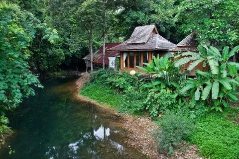 House in forest Stock-Fotos