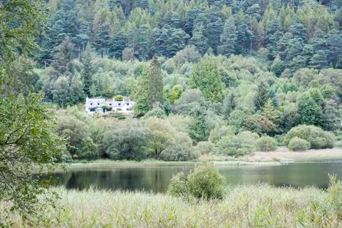 House in the forest Stock Photos