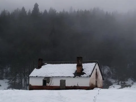 House in the forest 写真素材