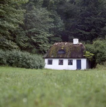 The house in the forest Foto stock