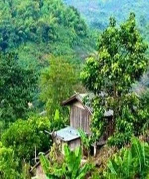 House in the forest Stock Photos
