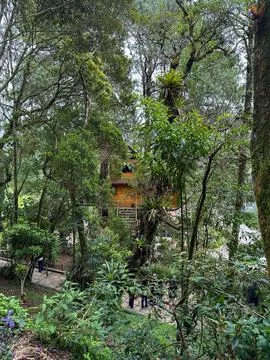 House in the forest Fotos de archivo
