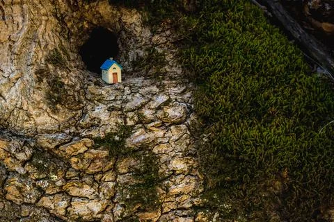 House in the forest Stock Photos