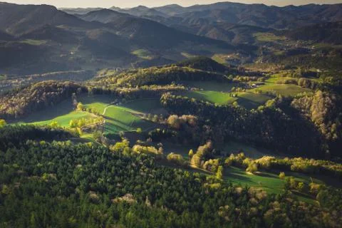 House in the forest, view from the drone Stock Photos
