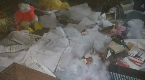 House Full of Garbage 1 Stock Footage 28152643