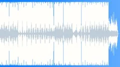The House Of Funk Stock Music