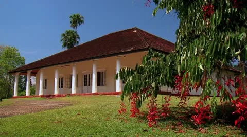 House in the garden Stock Footage 10765635