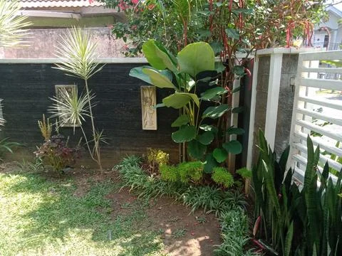 House garden Stock Photos
