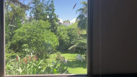 House garden with trees Vídeos de archivo 260261402