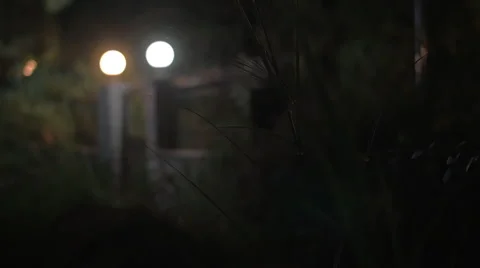 House gates with lanterns at night Stock Footage 64776190