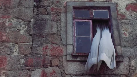 House with the ghosts. Stock Footage 132755353