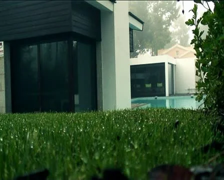 House grass Stock Footage