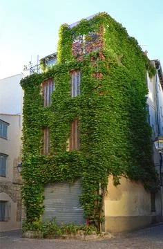 House in the green Stock Photos