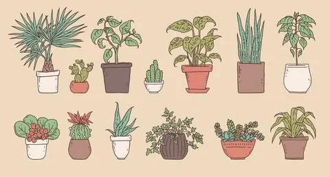 House green plants. Vector set houseplant in flower pot outline doodle isolated Illustrazione stock