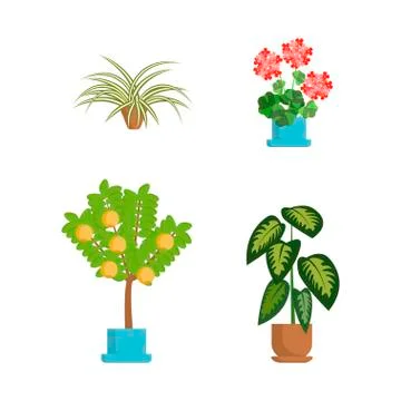 House growing potted Stock Illustration