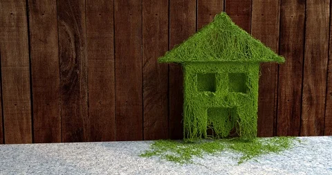 A house grows from plants. In the background is a dark fence. Stock Footage 92136728