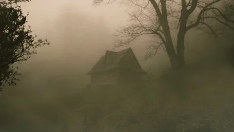 House in a haunted forest Stock Footage 231463926