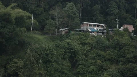 House Hidden In Trees 2 Stockbeeldmateriaal 160391542