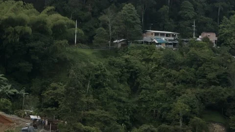 House Hidden In Trees Stockbeeldmateriaal 160391963