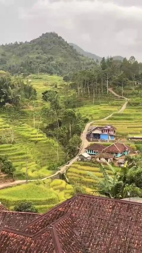 House on the hill Stock Footage 307197563