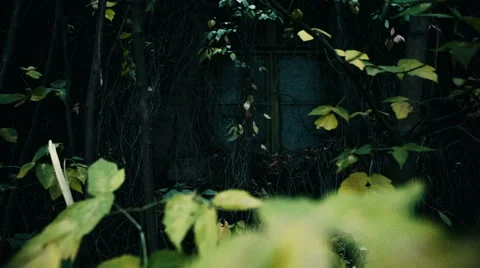 House of Horrors Stock Footage 55587737