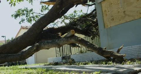 House with Hurricane Damage 動画素材 127199487