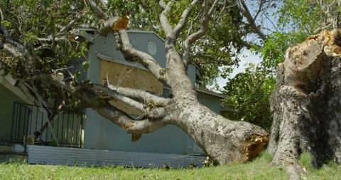 House with Hurricane Damage 動画素材 127199638