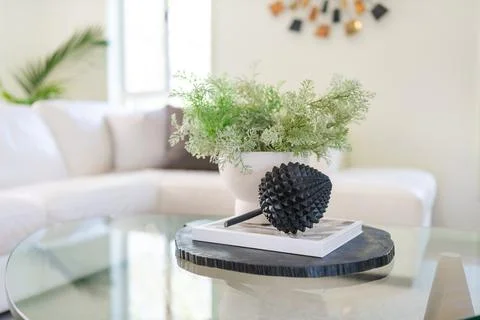House interior decor, inside of modern living room. Home, apartment decoratio Stock Photos