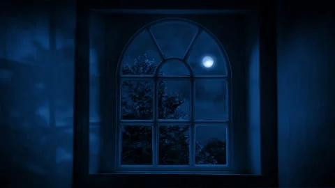 House Interior With Moonlight Casting Shadows Through The Window Stock Footage 252459140