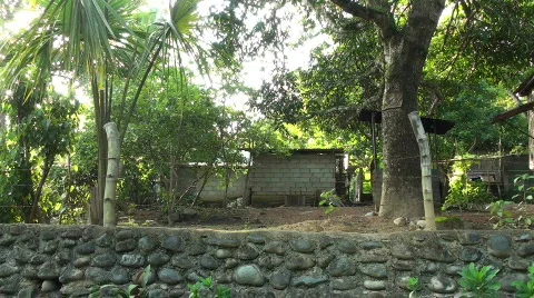 House in Jungle Video stock 636430