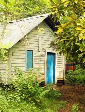House in the jungle Stock Photos
