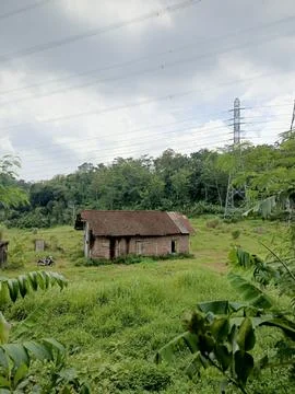 House in the jungle Stock Photos