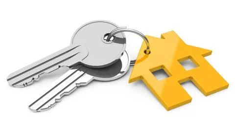 The house keys Stock Illustration