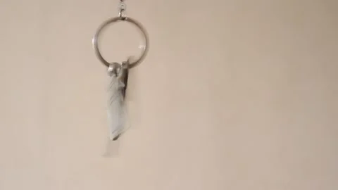 House keys with keychain rotate in the background Video stock 106481679