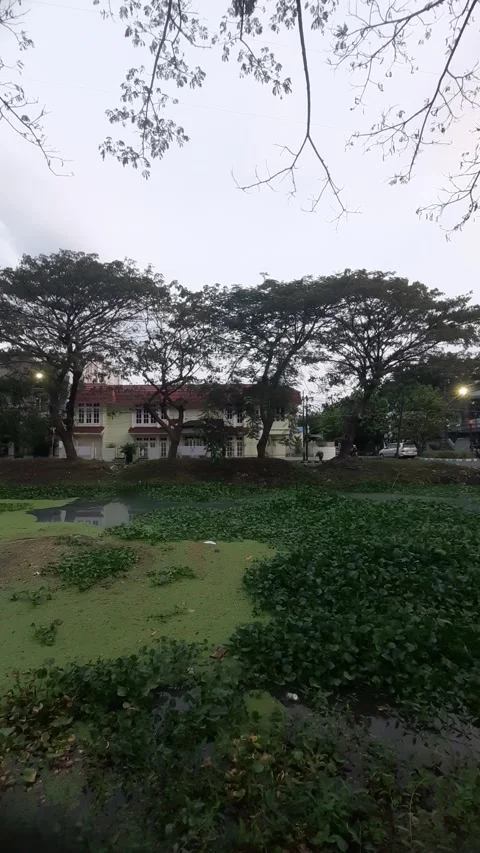 House Lake in the Evening, Vertical 4k Footage Stock-Footage 339096134