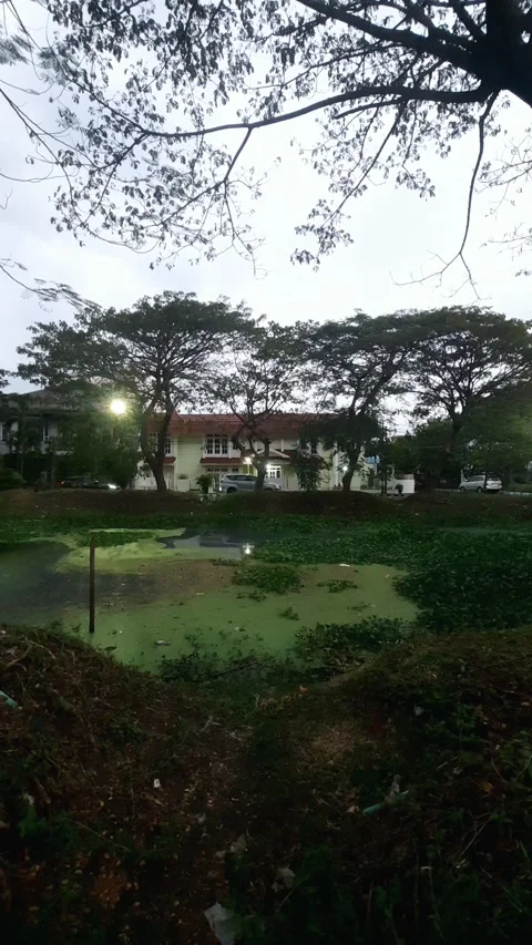 House Lake, Night View, Vertical 4k Footage Vídeos de archivo 339075388