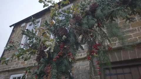 A house with a large tree in front of it Stock Footage 302471183
