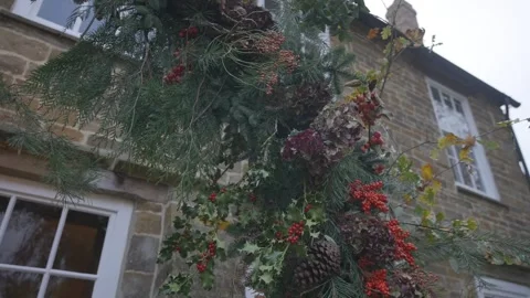 A house with a large tree growing on it Stock Footage 302471017